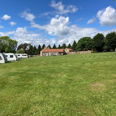 Готель Bank Top Camping-North York Moors With Pitches For Caravans, Camper Vans And Tents Пікерінг Екстер'єр фото