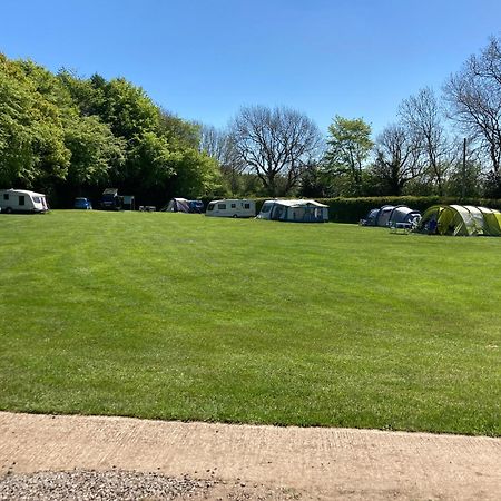 Готель Bank Top Camping-North York Moors With Pitches For Caravans, Camper Vans And Tents Пікерінг Екстер'єр фото