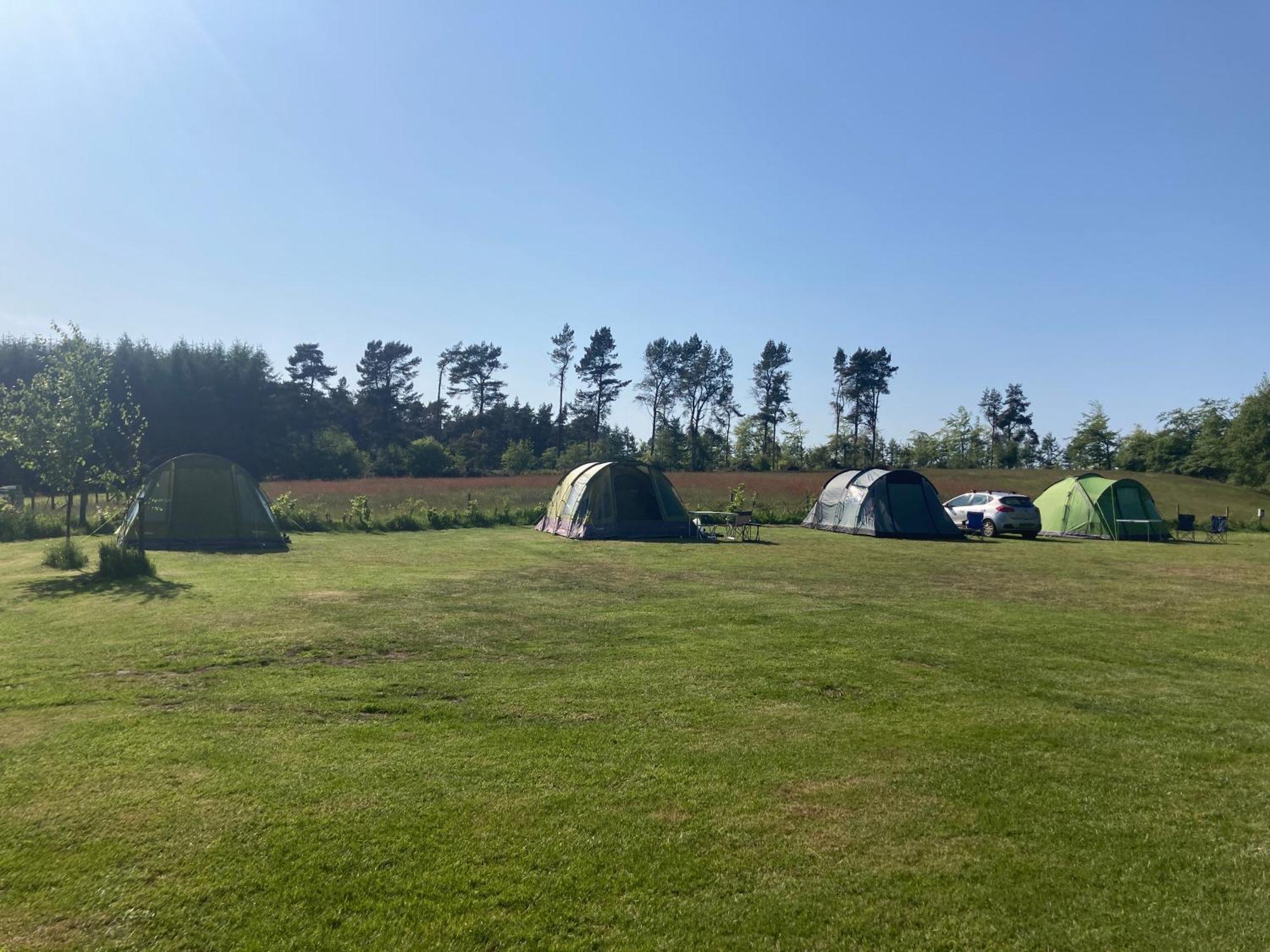 Готель Bank Top Camping-North York Moors With Pitches For Caravans, Camper Vans And Tents Пікерінг Екстер'єр фото